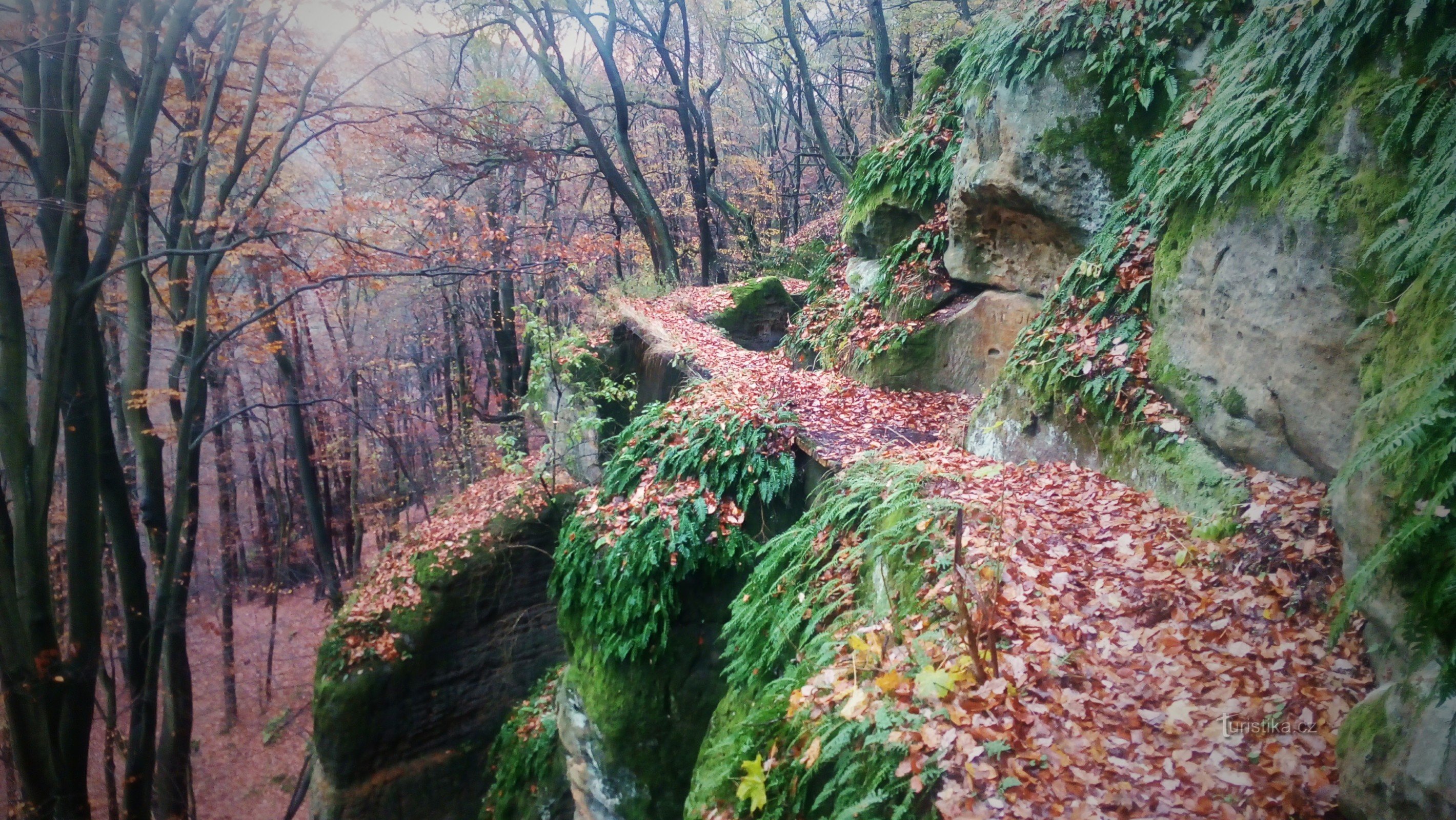 Vidim footbridges