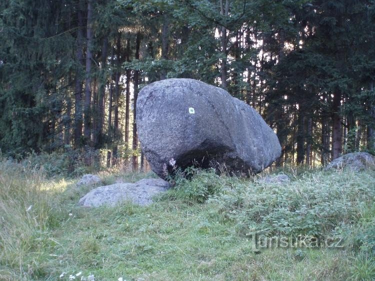 viklan Dominik: celkový pohled na viklan