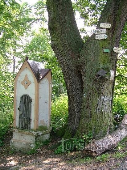 Vikštejn - vejkryds