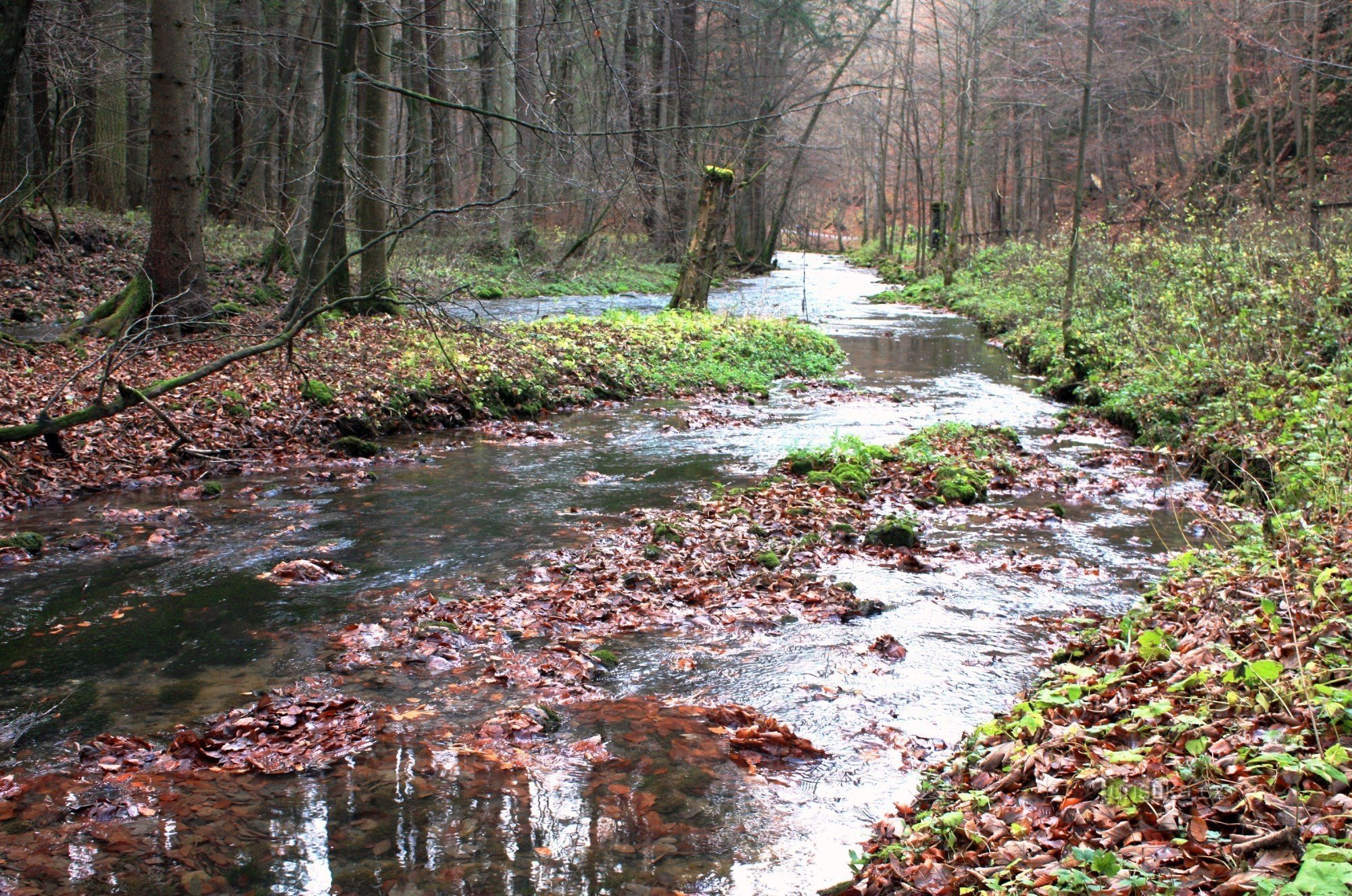 Das Wasser von Vilémovice mündet in Punkva