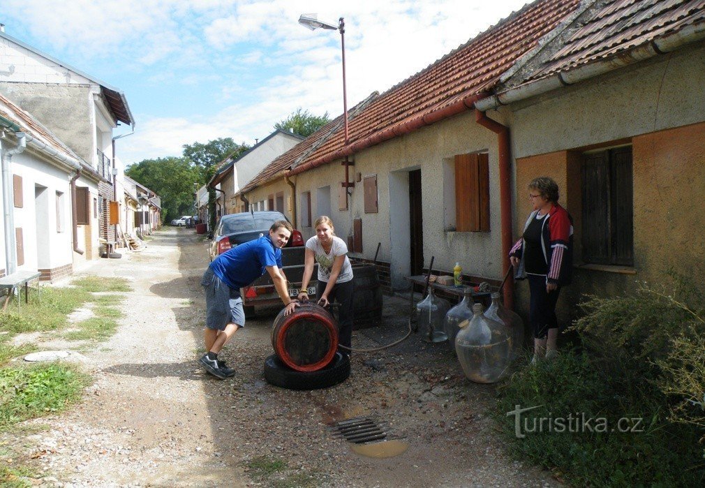 Vinari na djelu