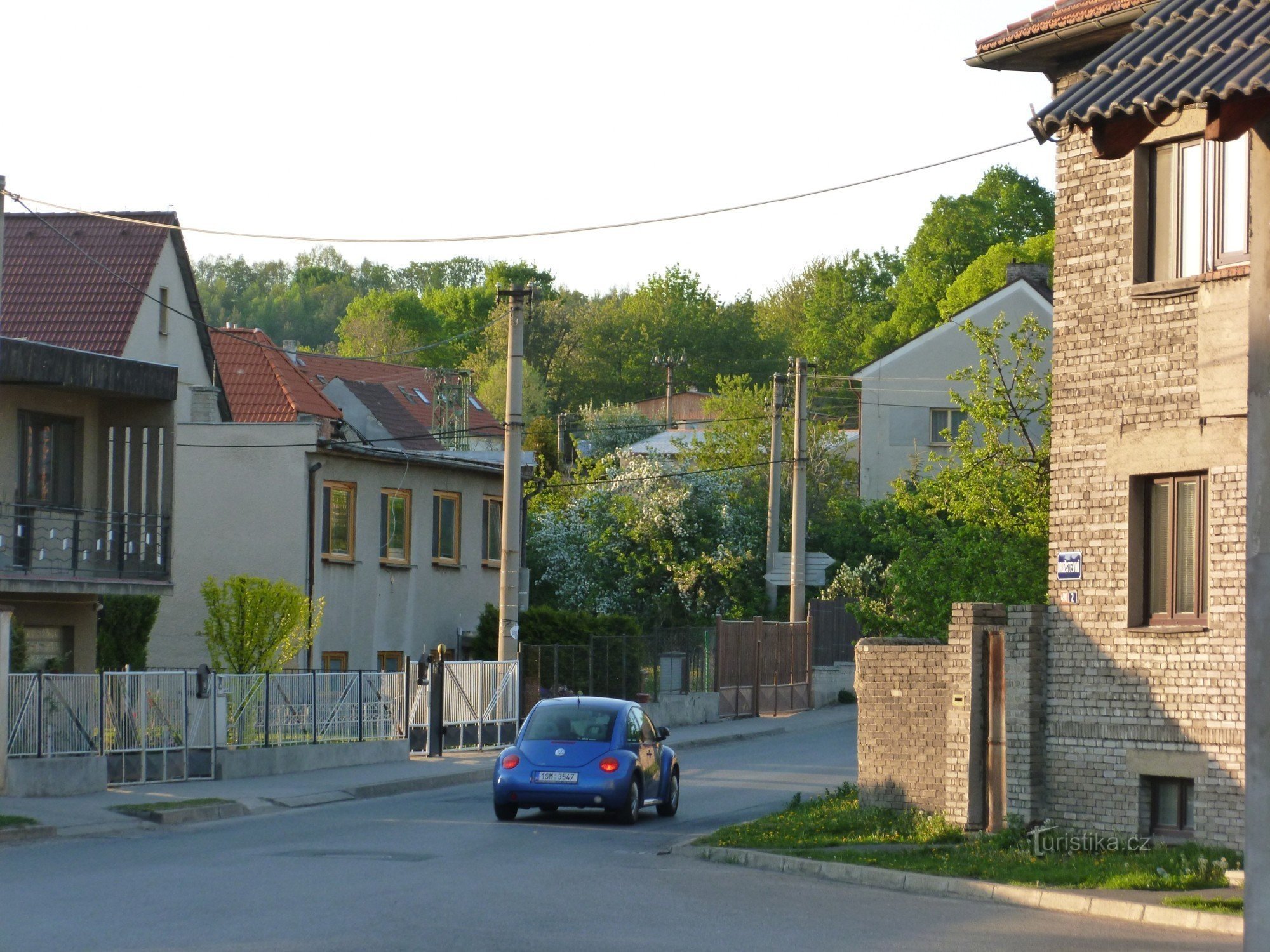 Azienda vinicola