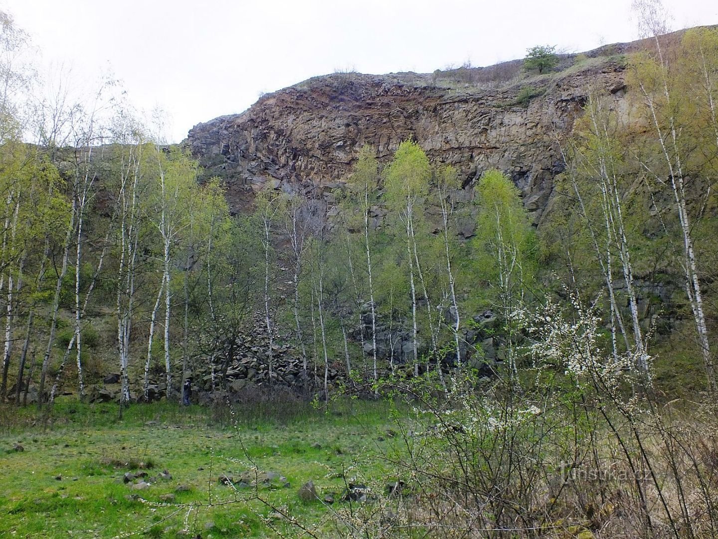 Vinska planina