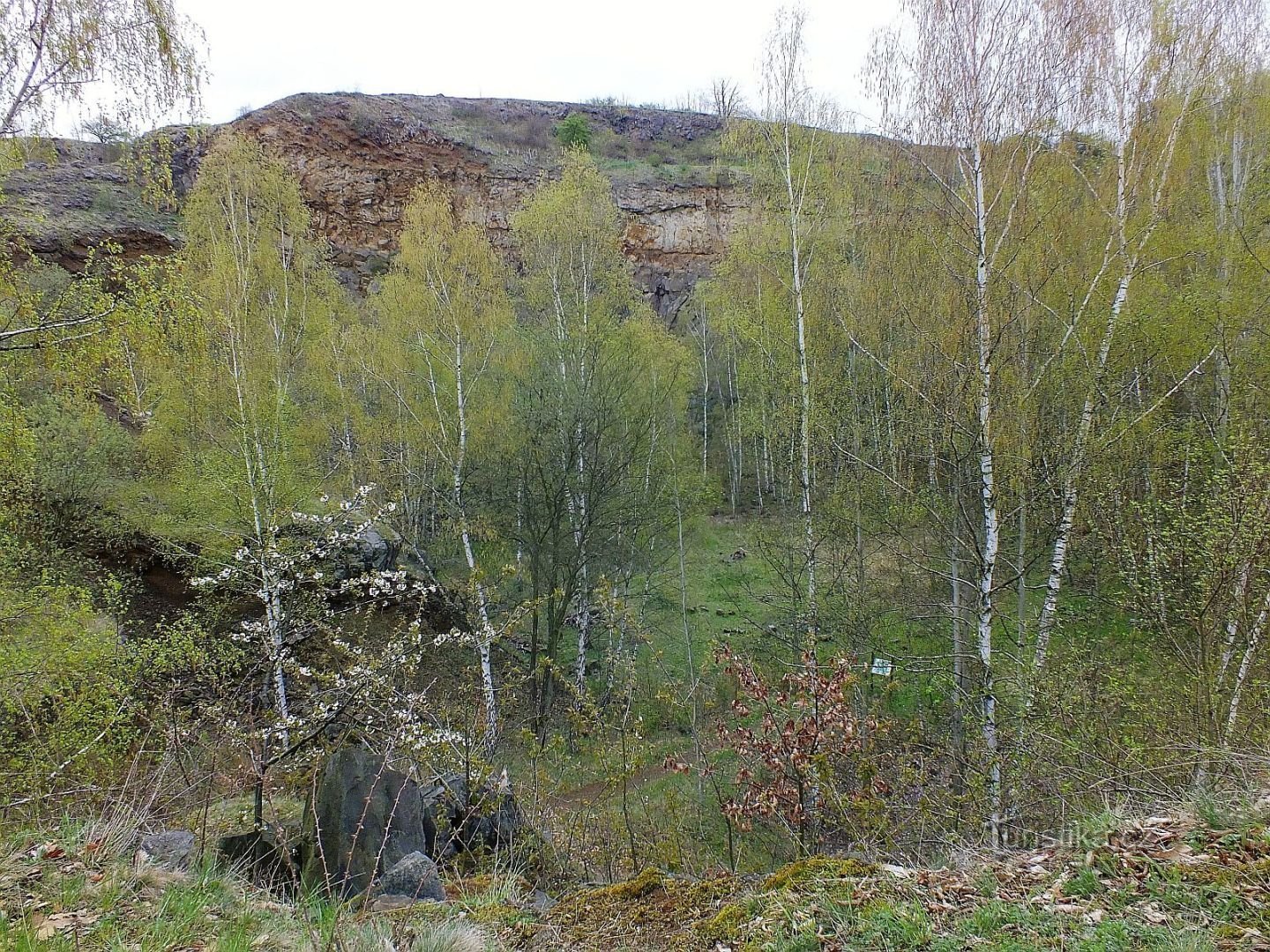 Vinska planina