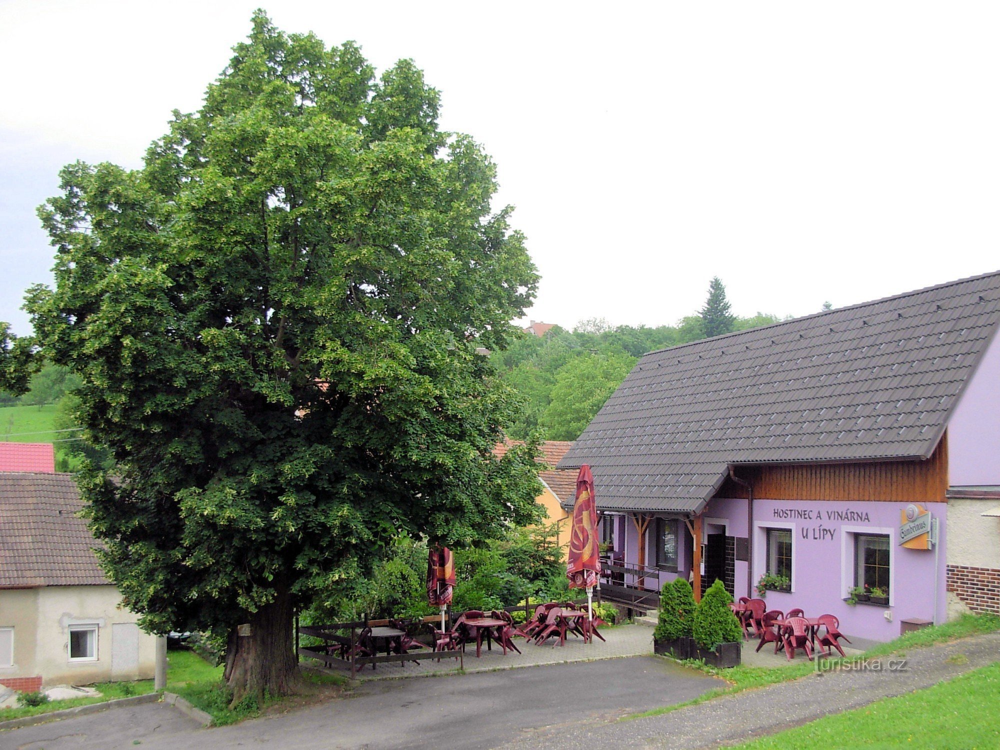 位于 Březová 的 U lípy 酒厂和旅馆