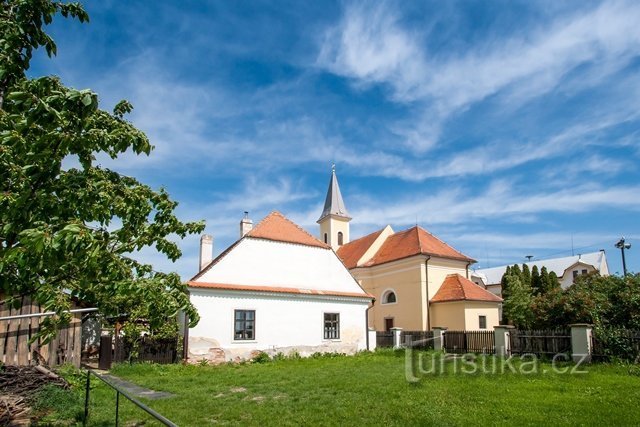 Vineyard at the rectory in Ivani