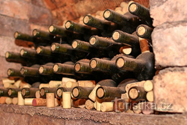 Bauman-wijnmakerij
