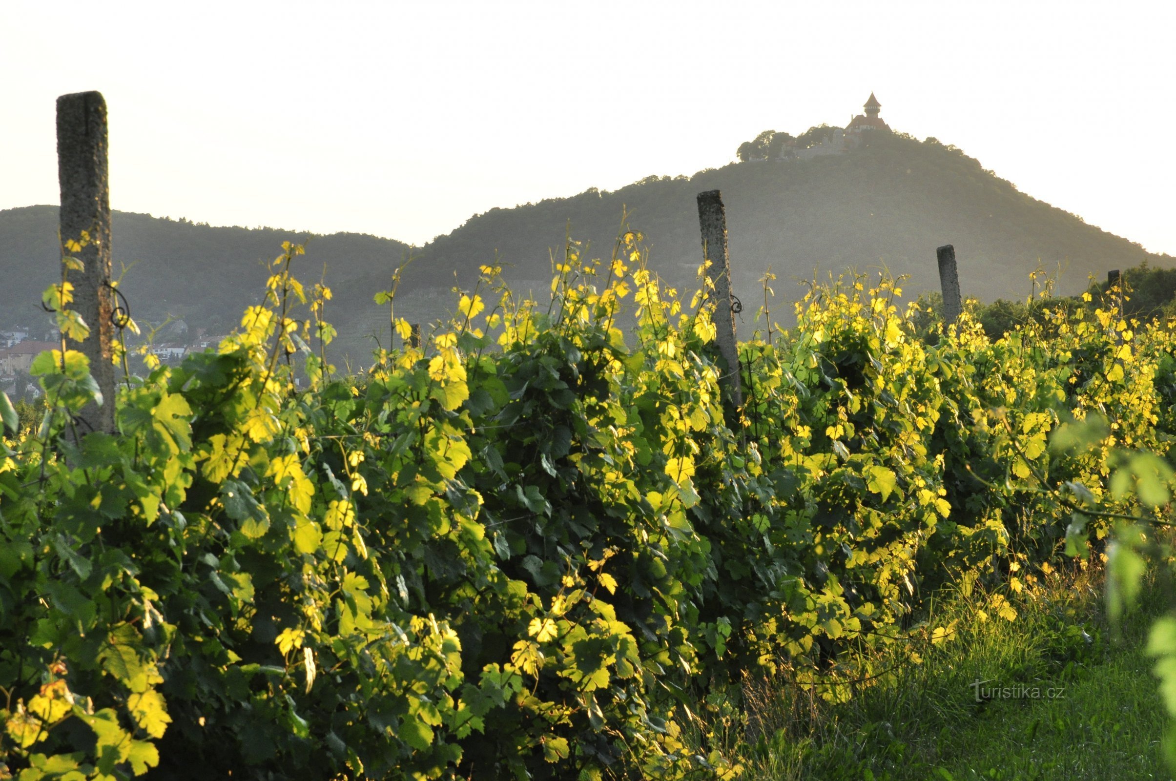 Bodega Chramce