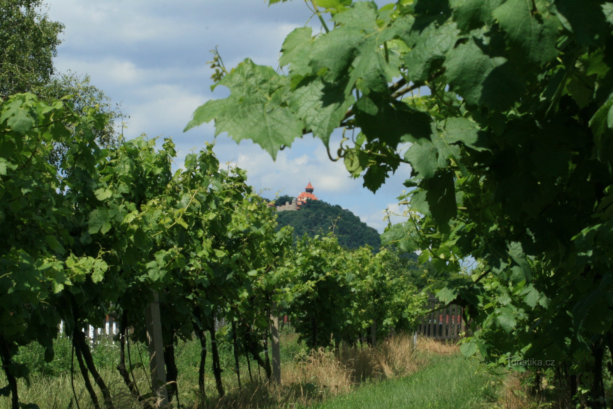 Weingut Chramce