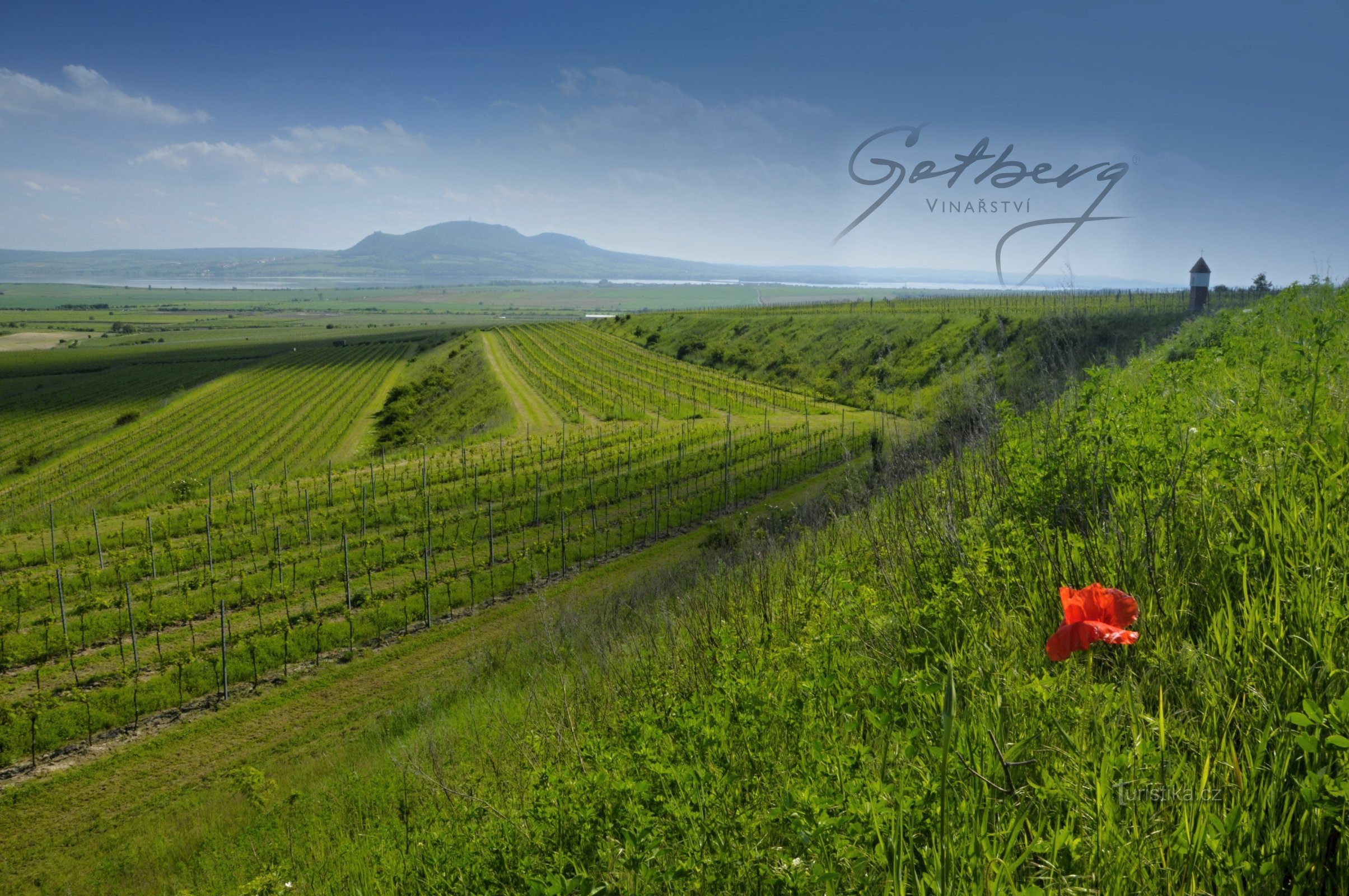 Gotberg winery