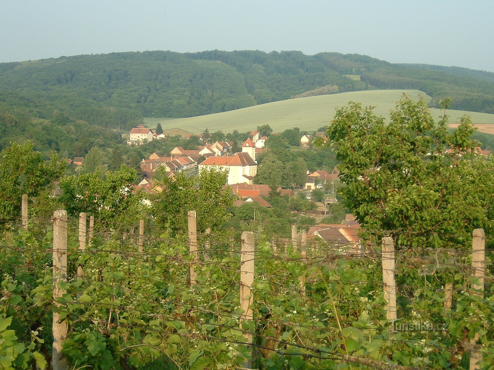 Azienda vinicola Koráb - vini da vecchi vigneti