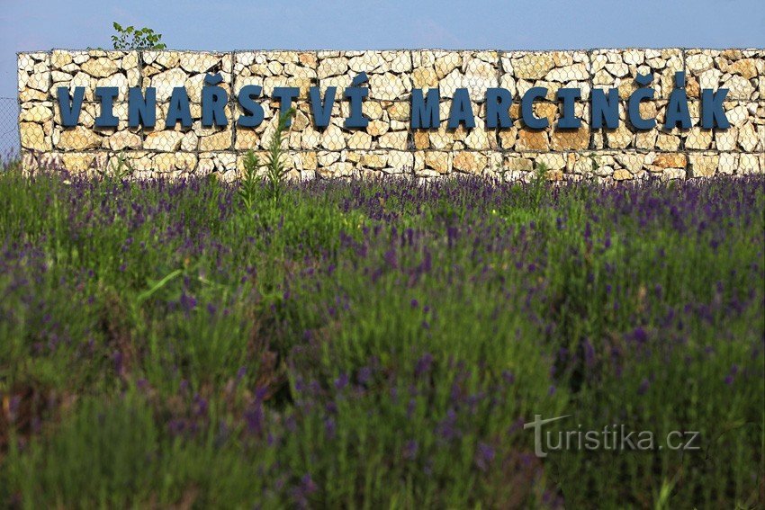 Marcinčák Winery