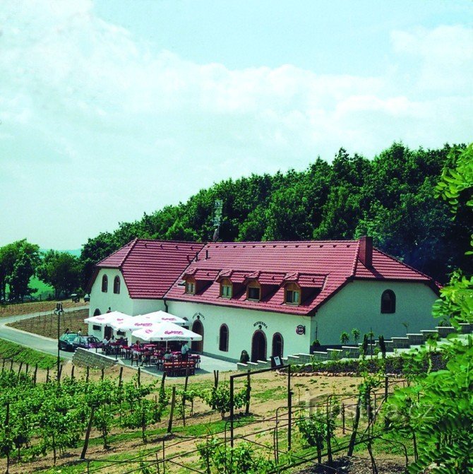 Vinarstvo Sadek; Foto: publikacija Krajem vína