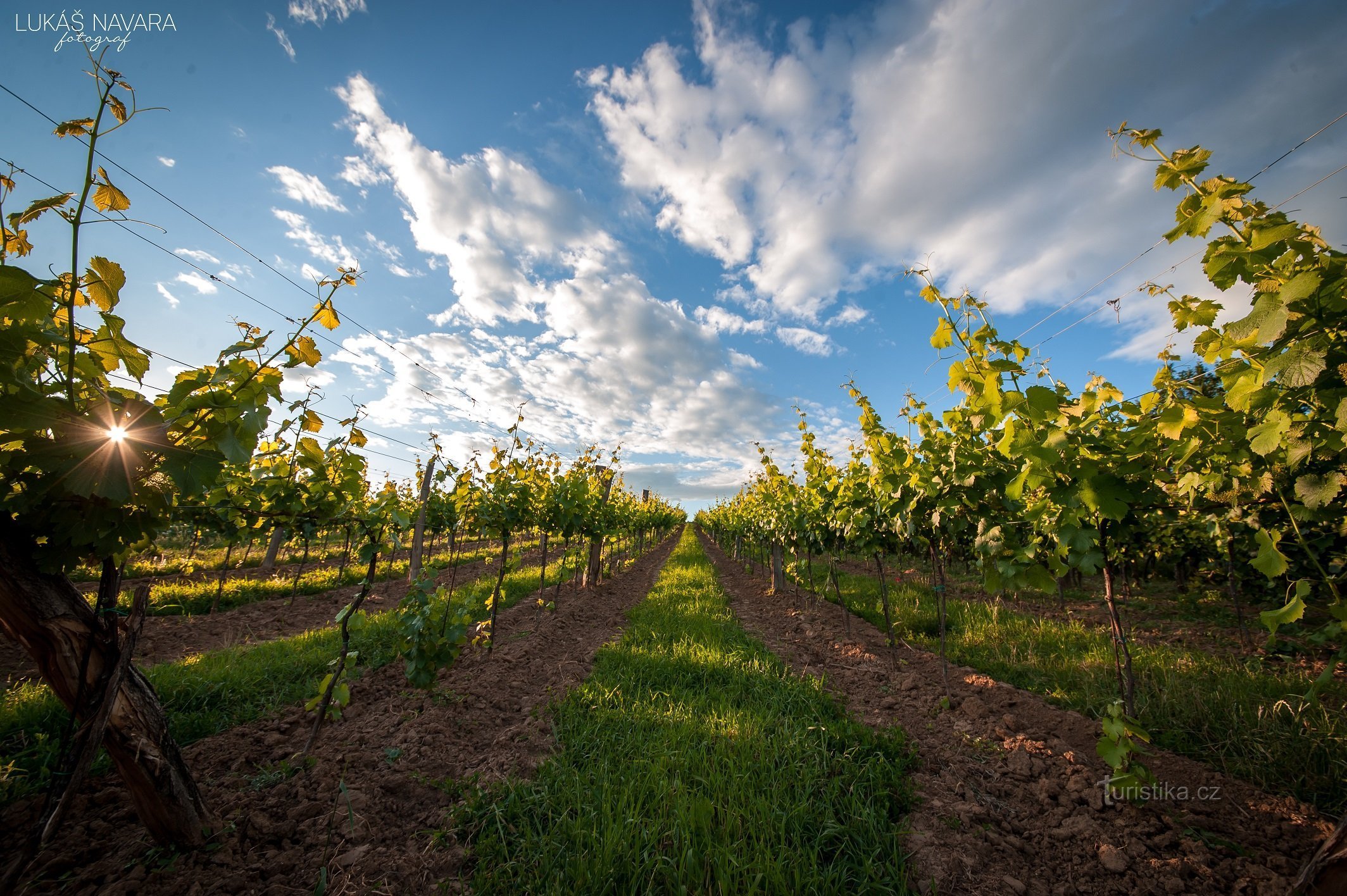 Štěpán Maňák Winery