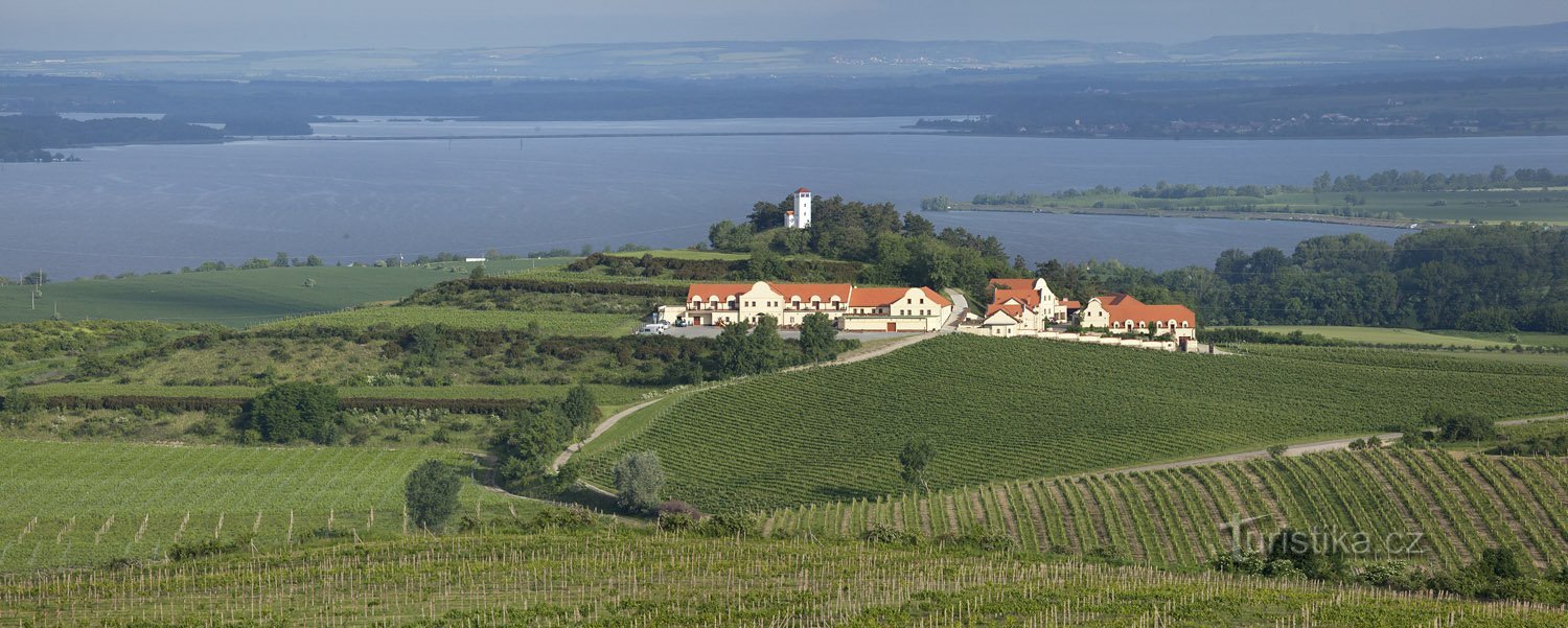 Bodega U Kapličky