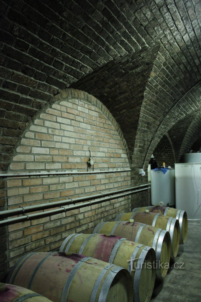 Žerotín vingård