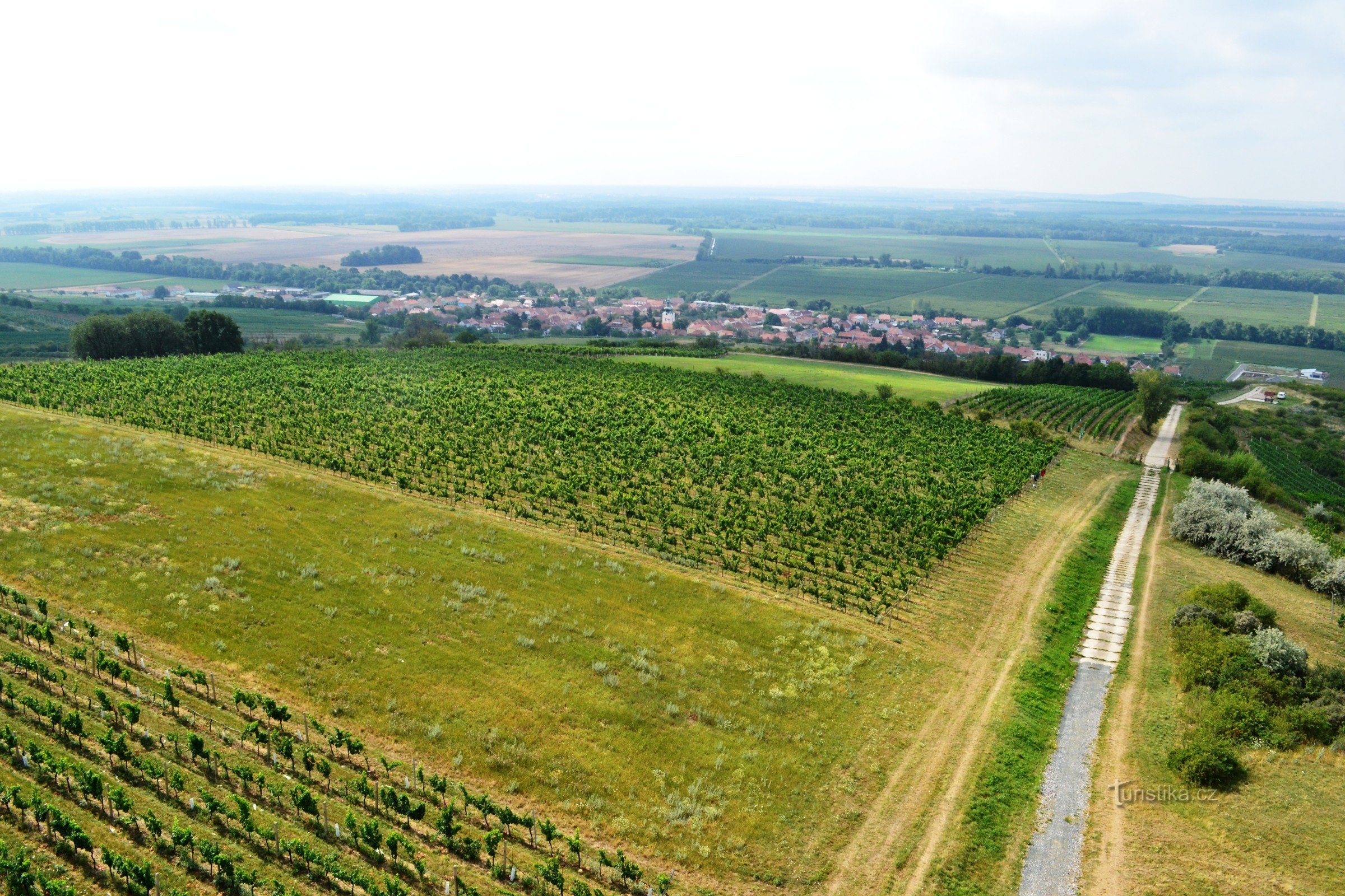 vignes près du belvédère