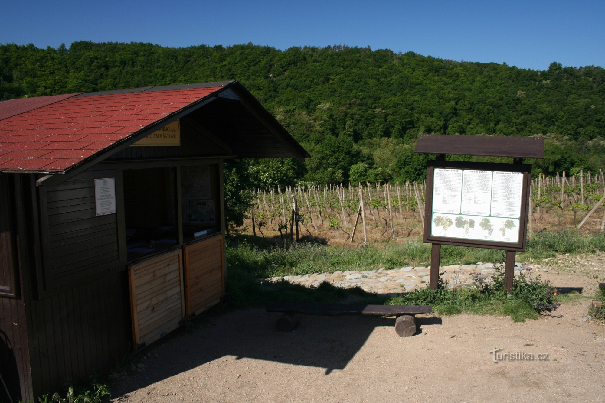 Šobes vingård - smagestand