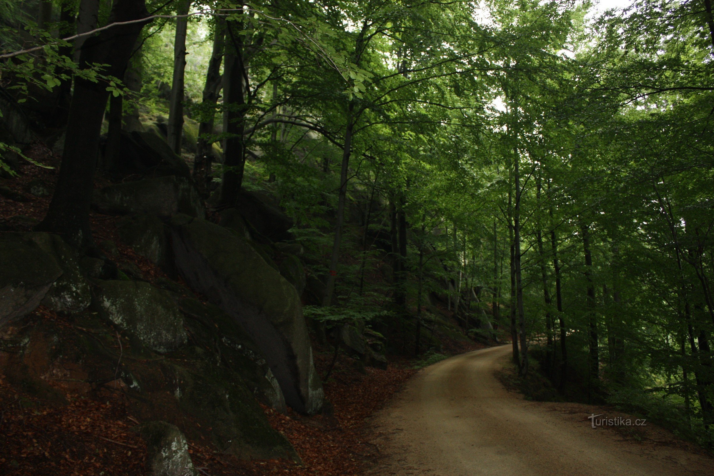 Route des vignobles dans les montagnes de Jizera