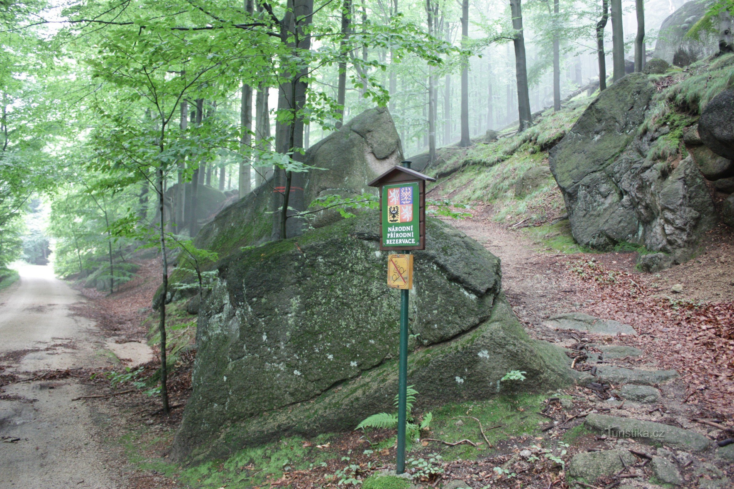 Route des vignobles dans les montagnes de Jizera