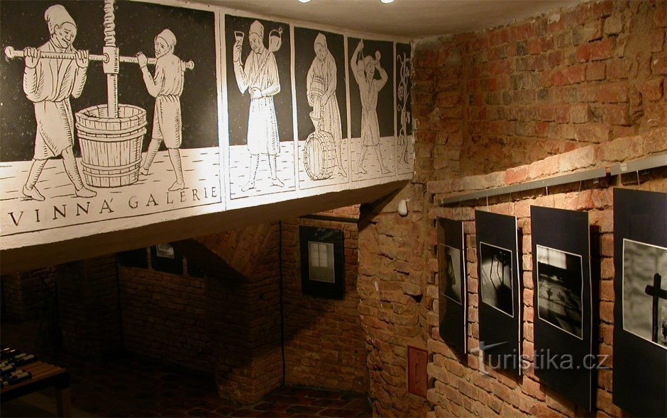 Galería de vinos