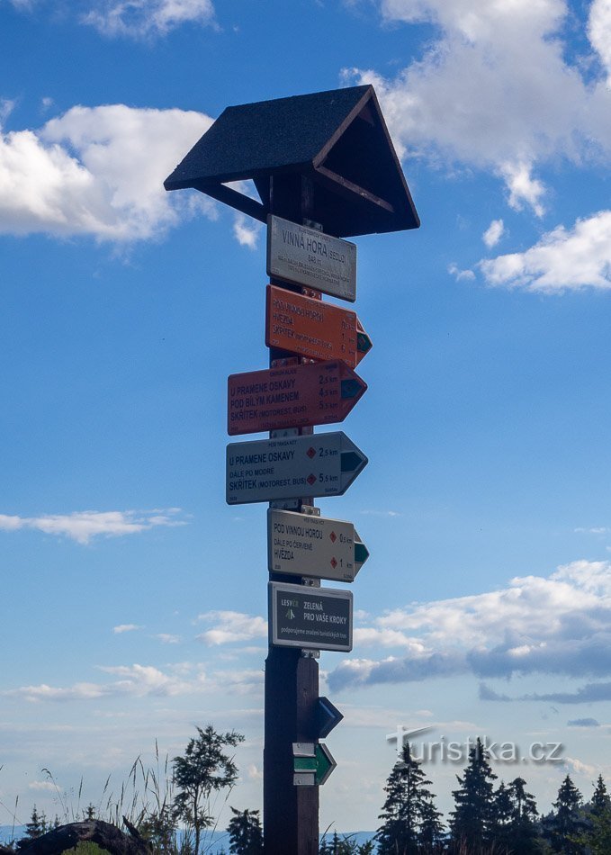 Винна Гора – Памятник неизвестному летчику