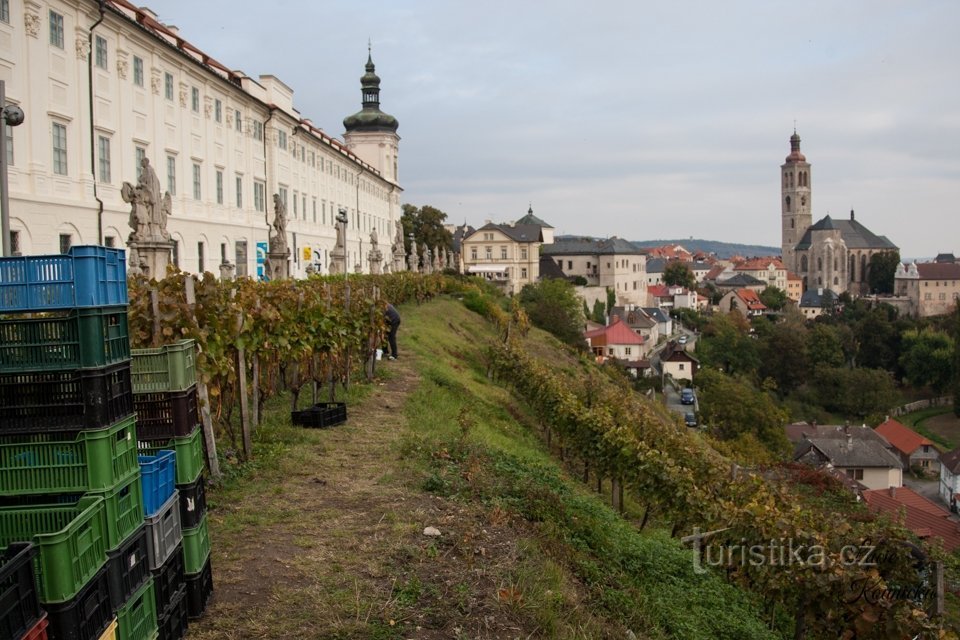 Kutná Hora wine cellars