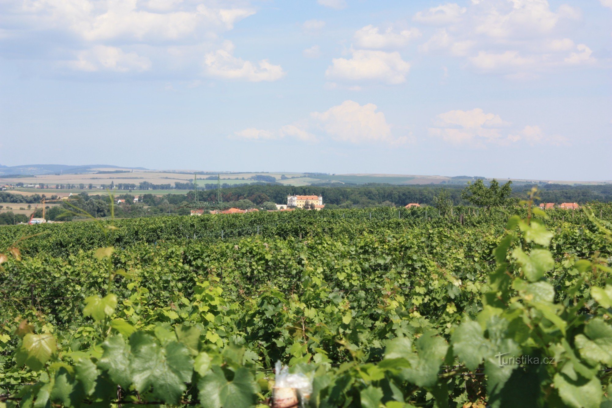 Bodegas Šidleny en Milotice.