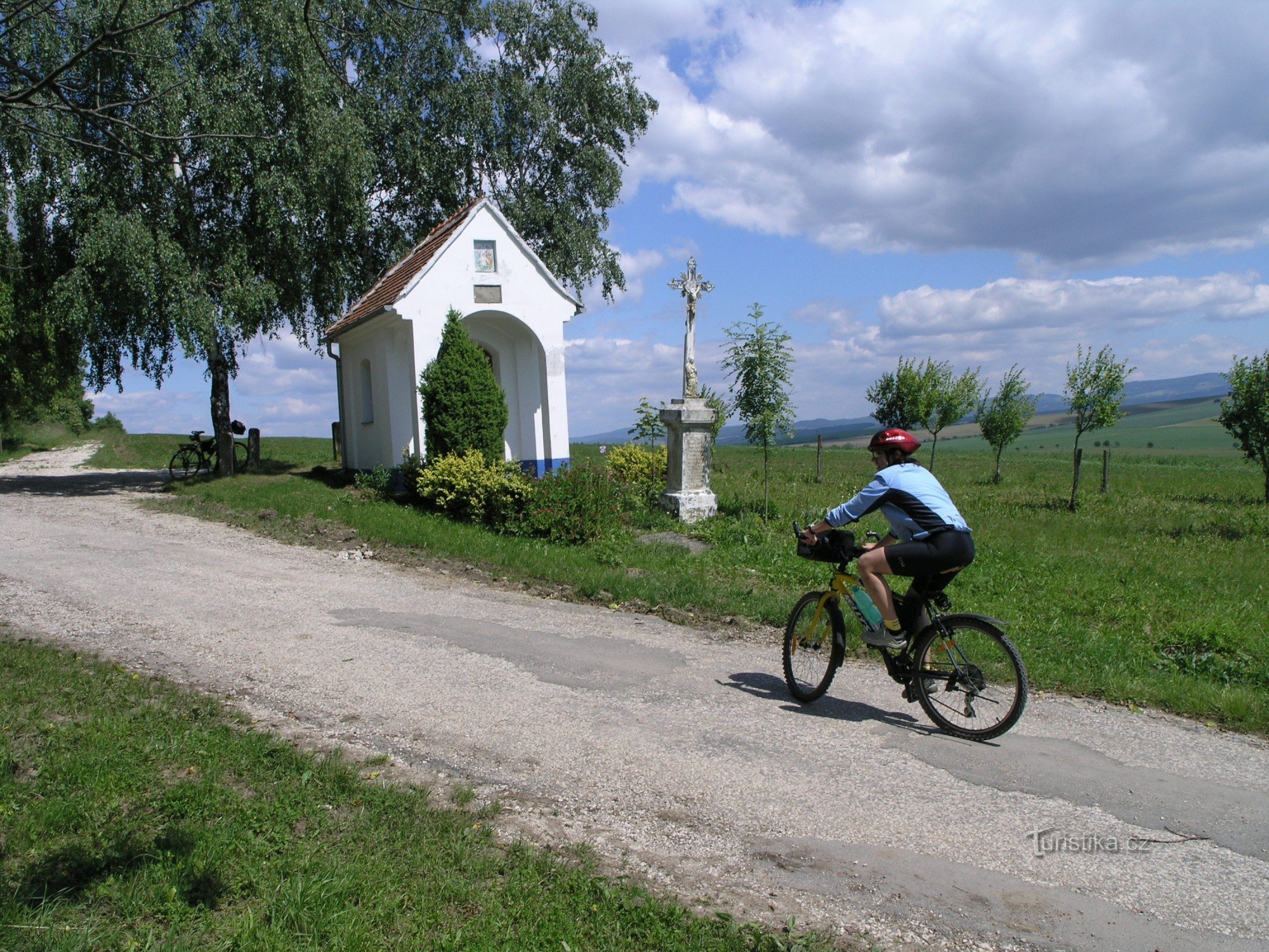 Vino in šport II.