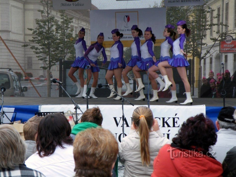 Jahrgang in Valtice - Platz