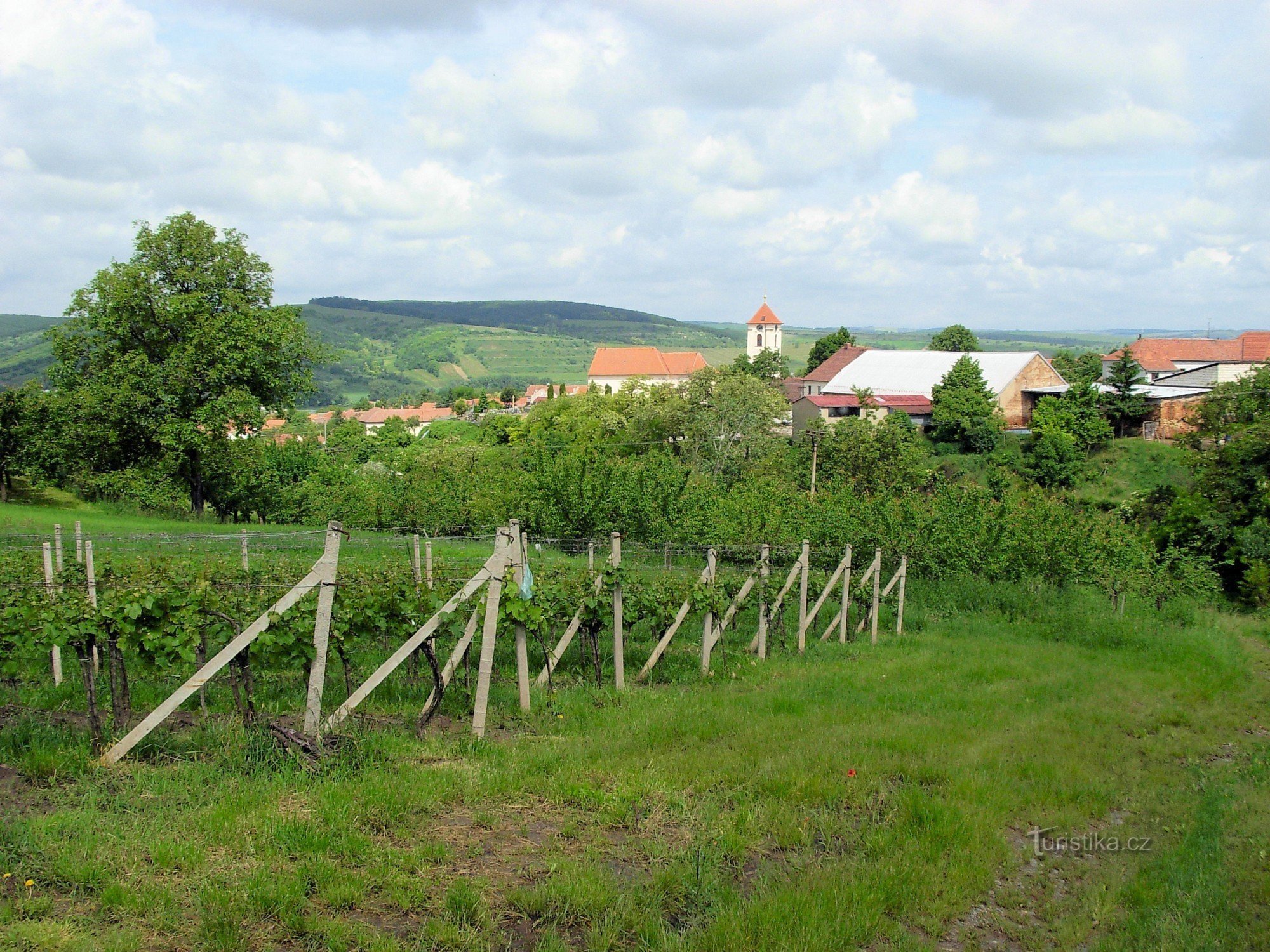 Vinohrady nad Kobylimi