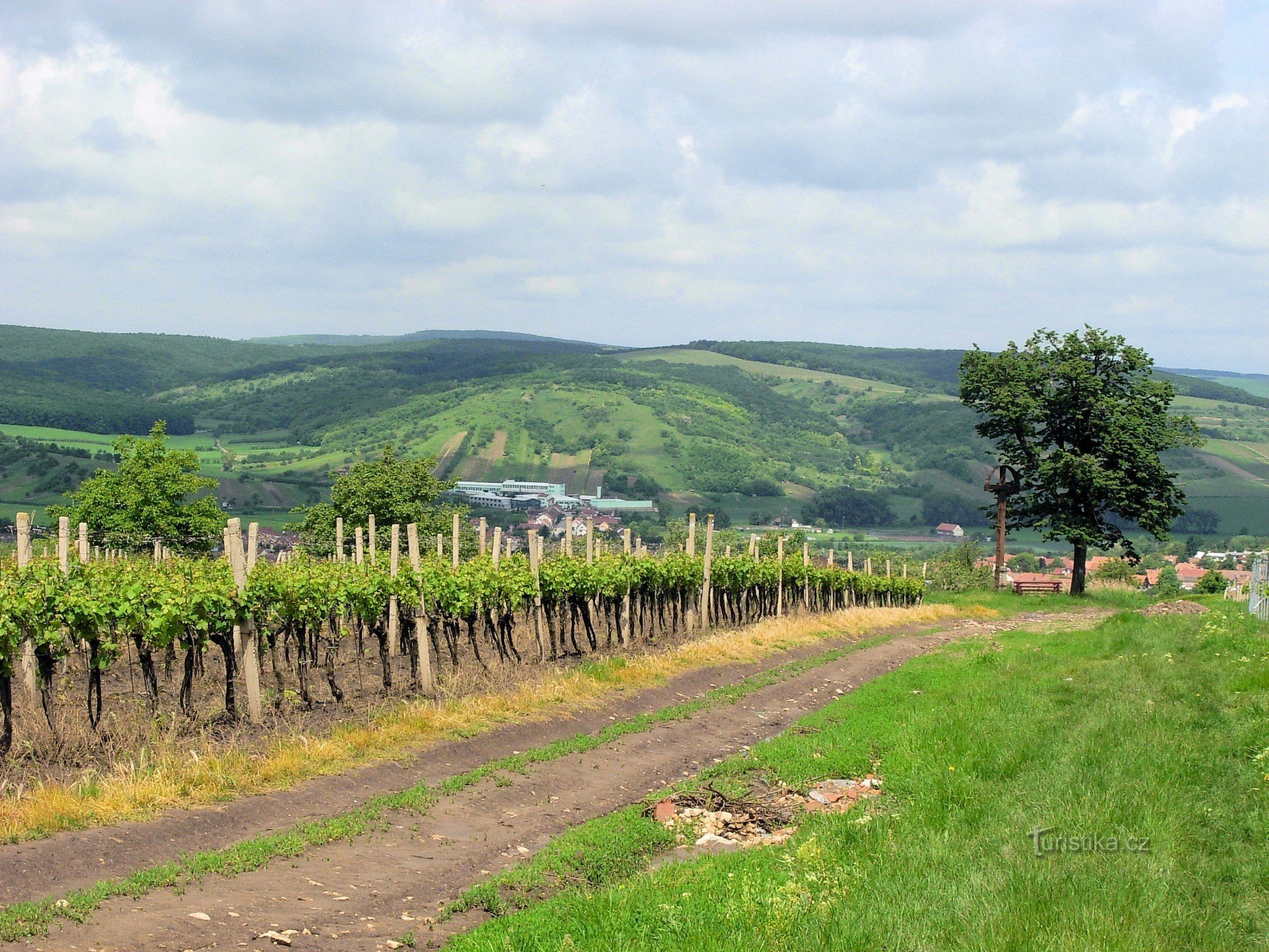 Vinohrady nad Kobylím, bosque de Ždánický al fondo