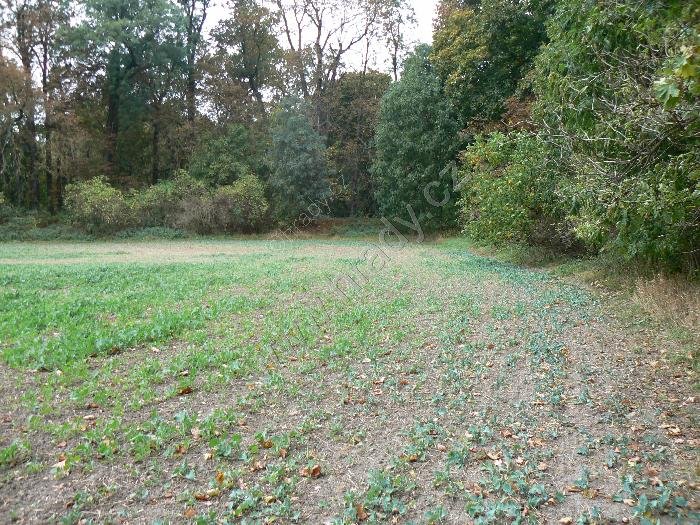 vinořské hradiště