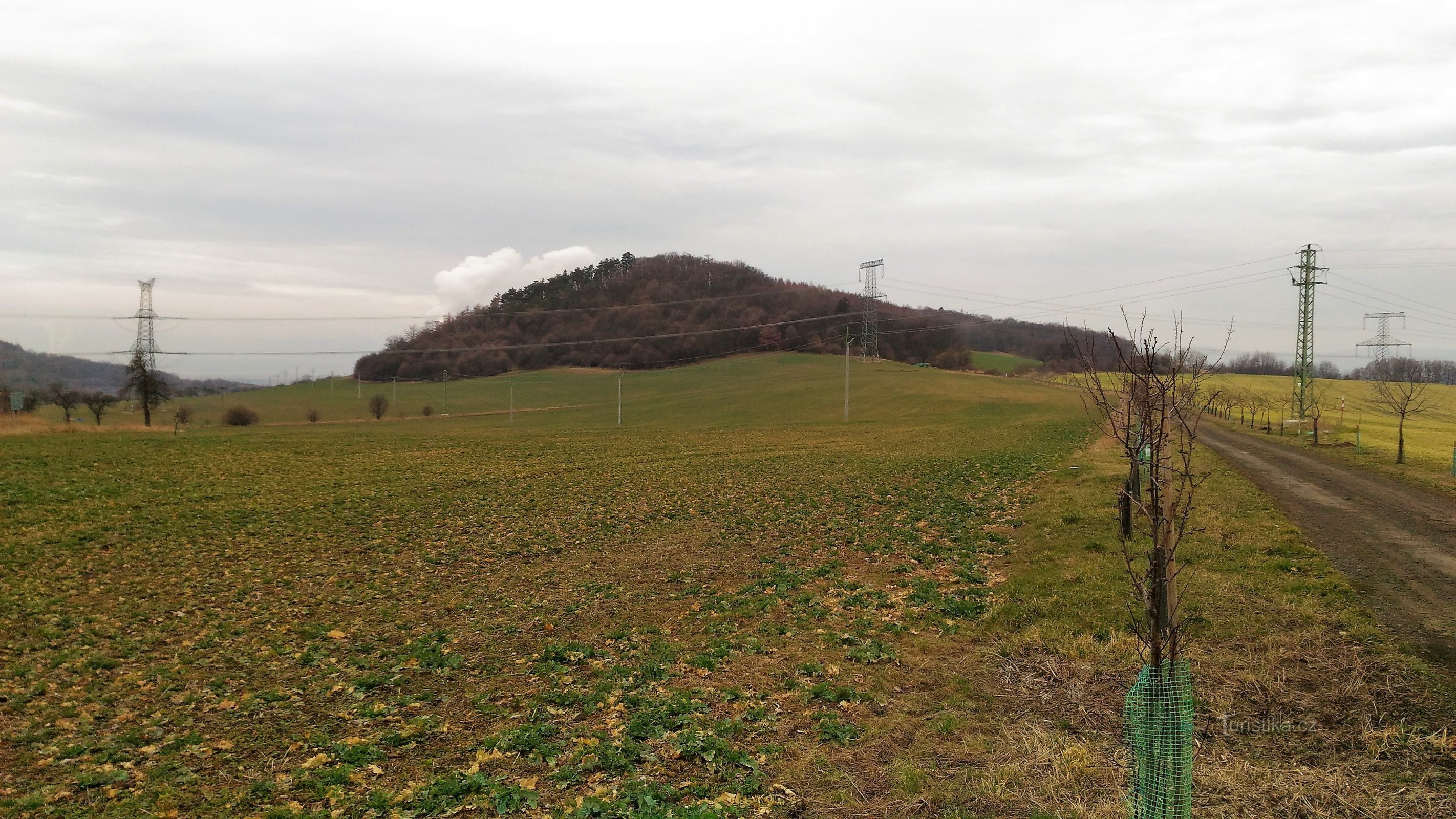 Vinska planina