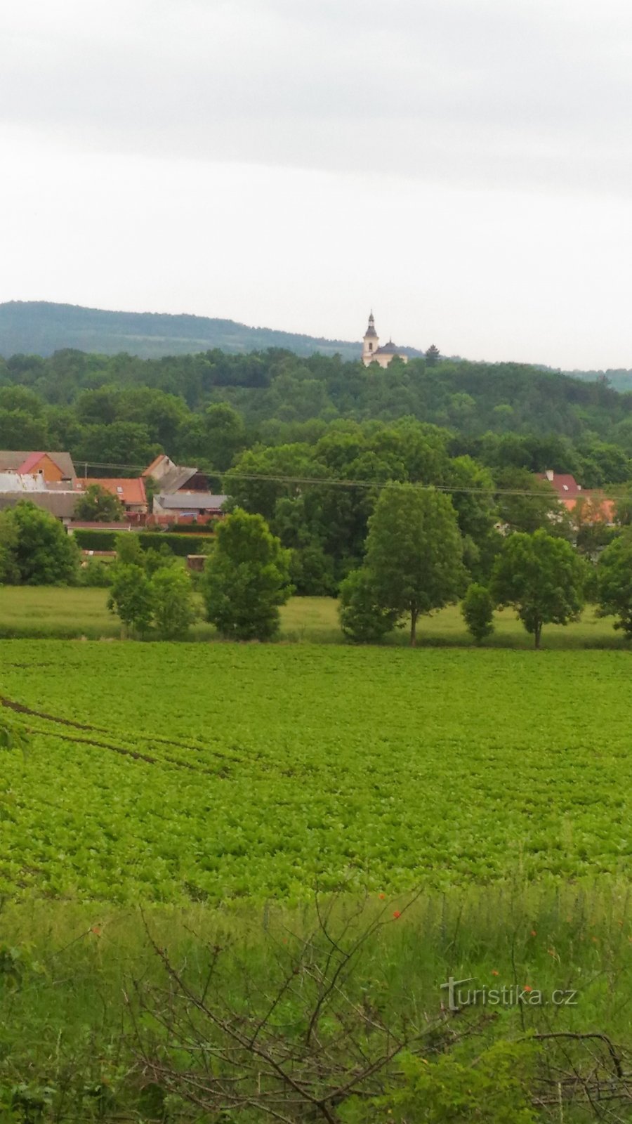 Vintířovský hill