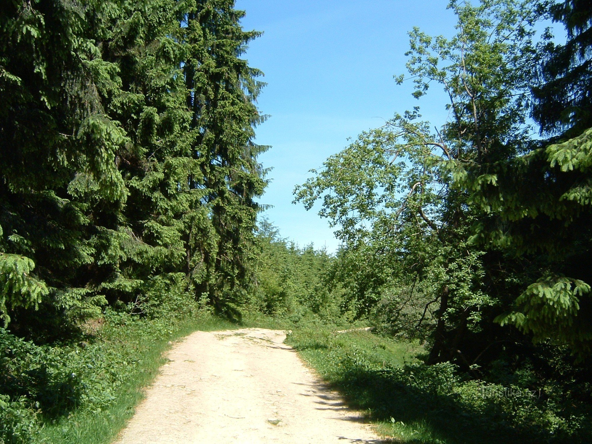 Visalaje-Croix Blanche-Dorotěnka-Croix Blanche-Visalaje