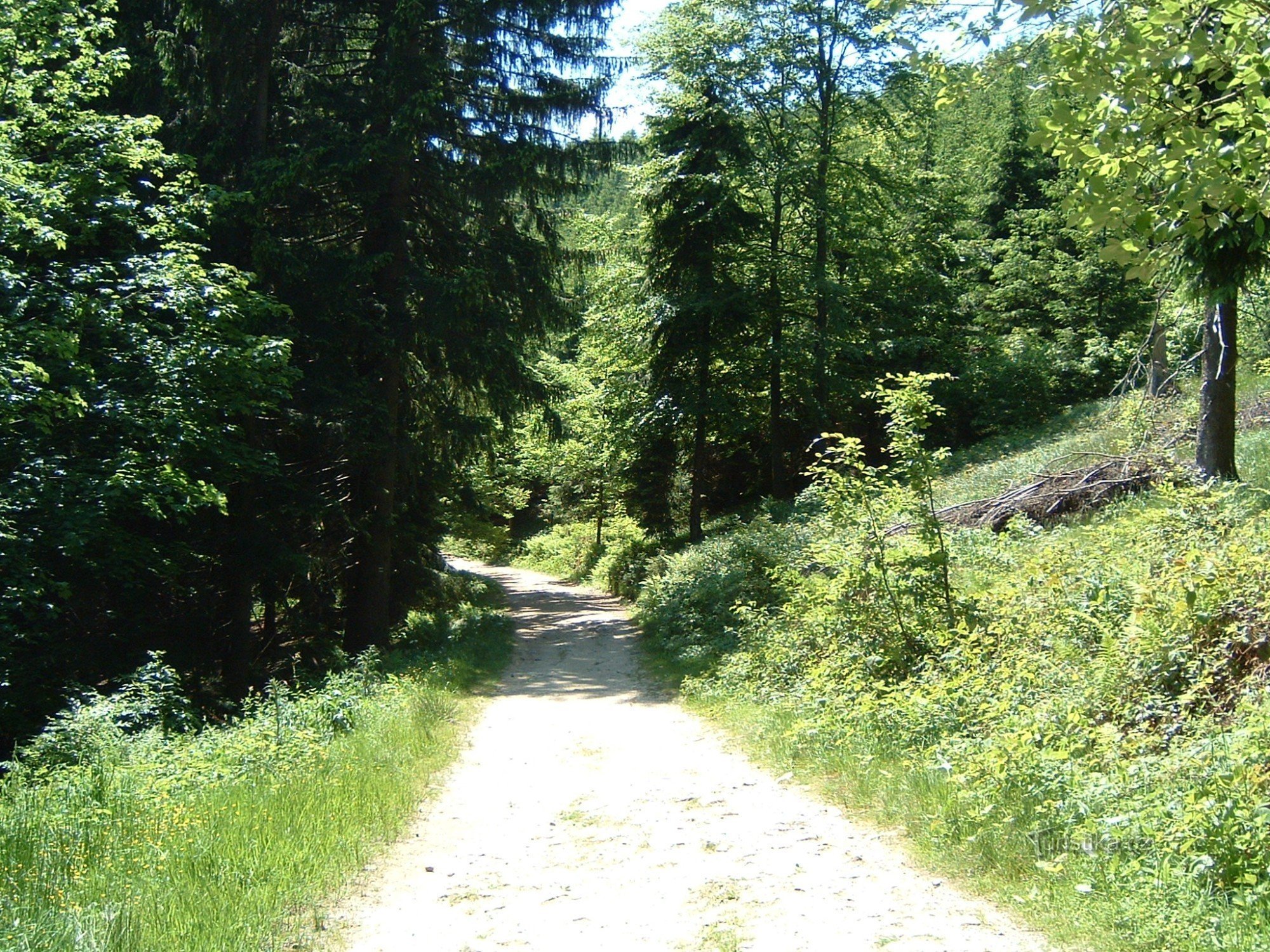 Visalaje-Weißes Kreuz-Dorotěnka-Weißes Kreuz-Visalaje