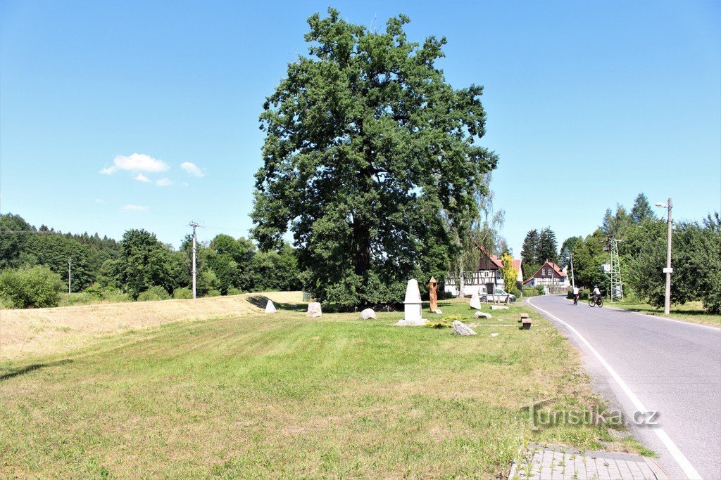 Viška, quercia protettrice