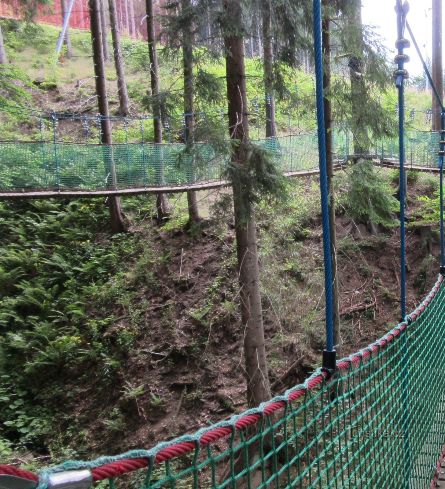 Suspension bridges