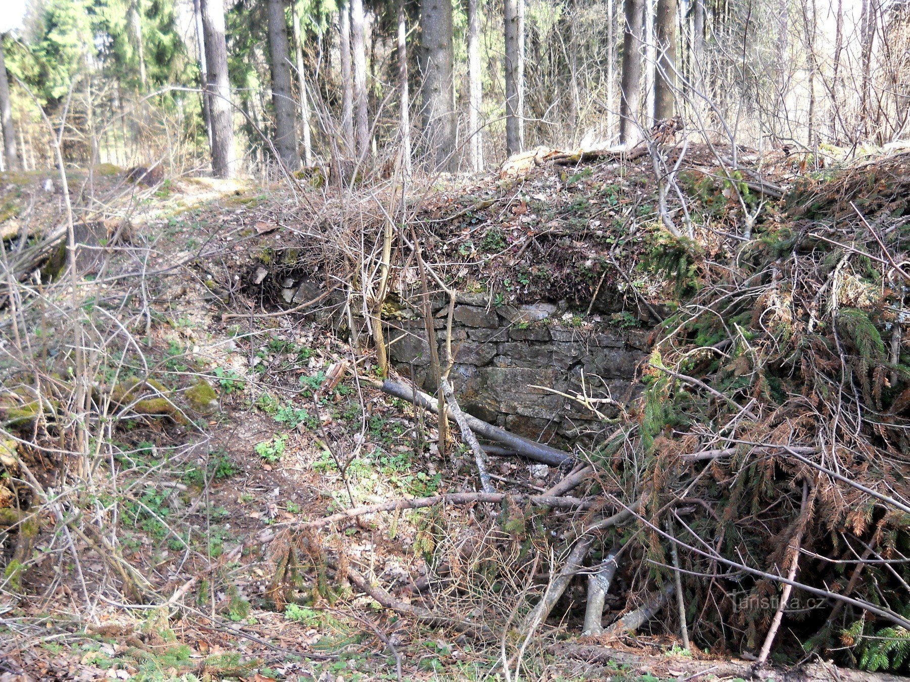 Vítkův Hrádek near Blažejov