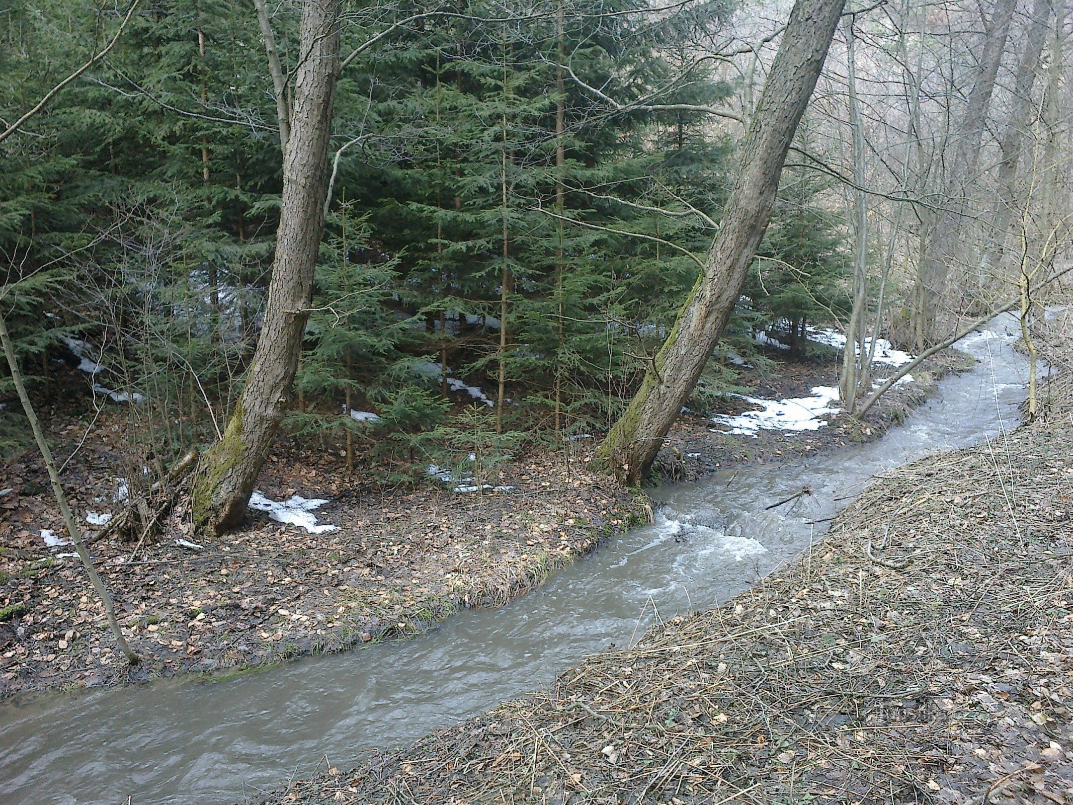 Vallée de Vitovice