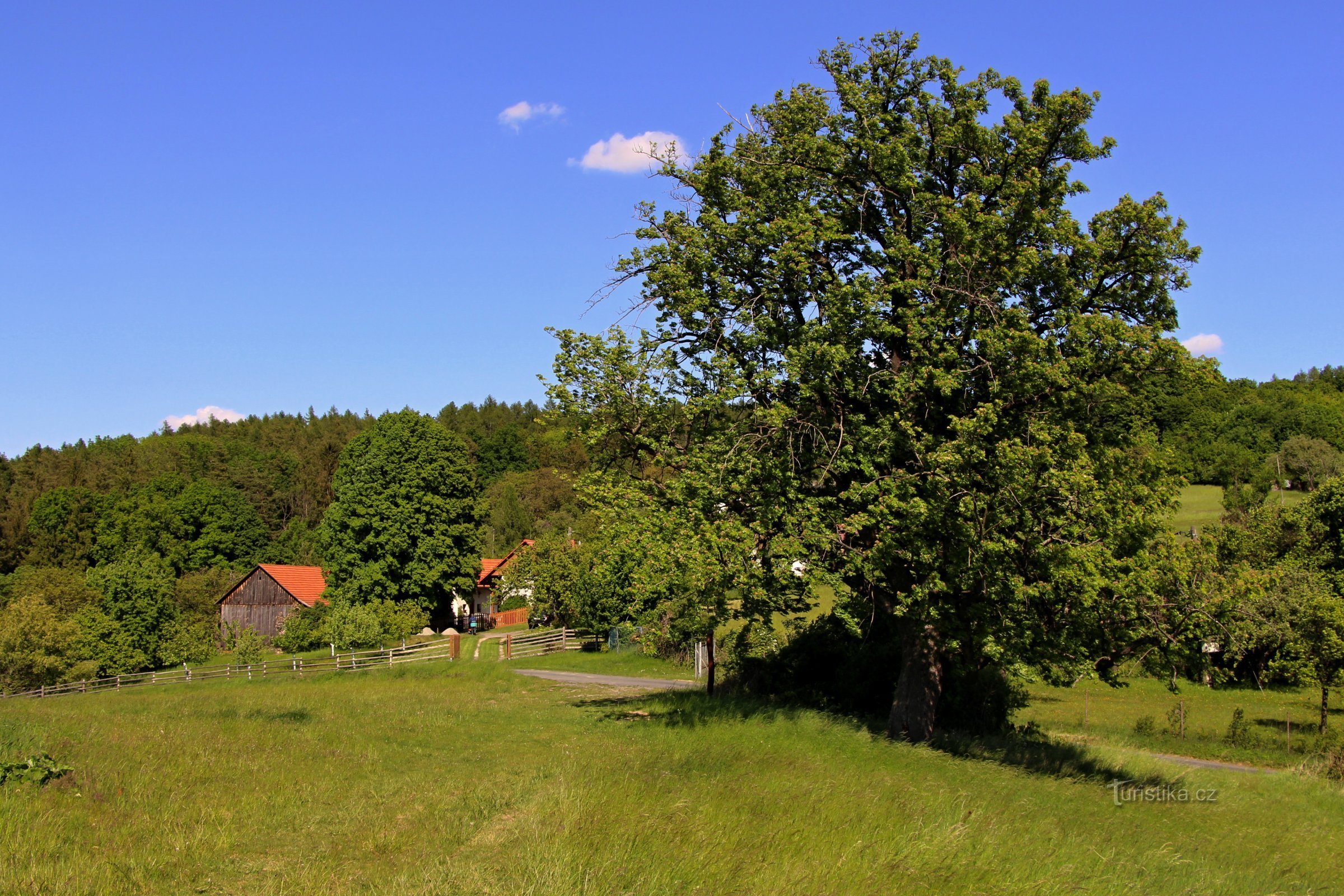 Vizovická vrchovina: NS Želechovice nad Dřevnicí