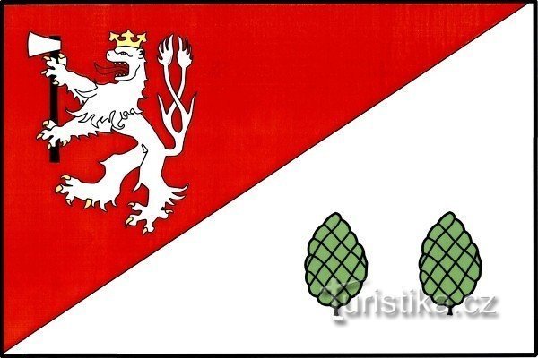 Township flag