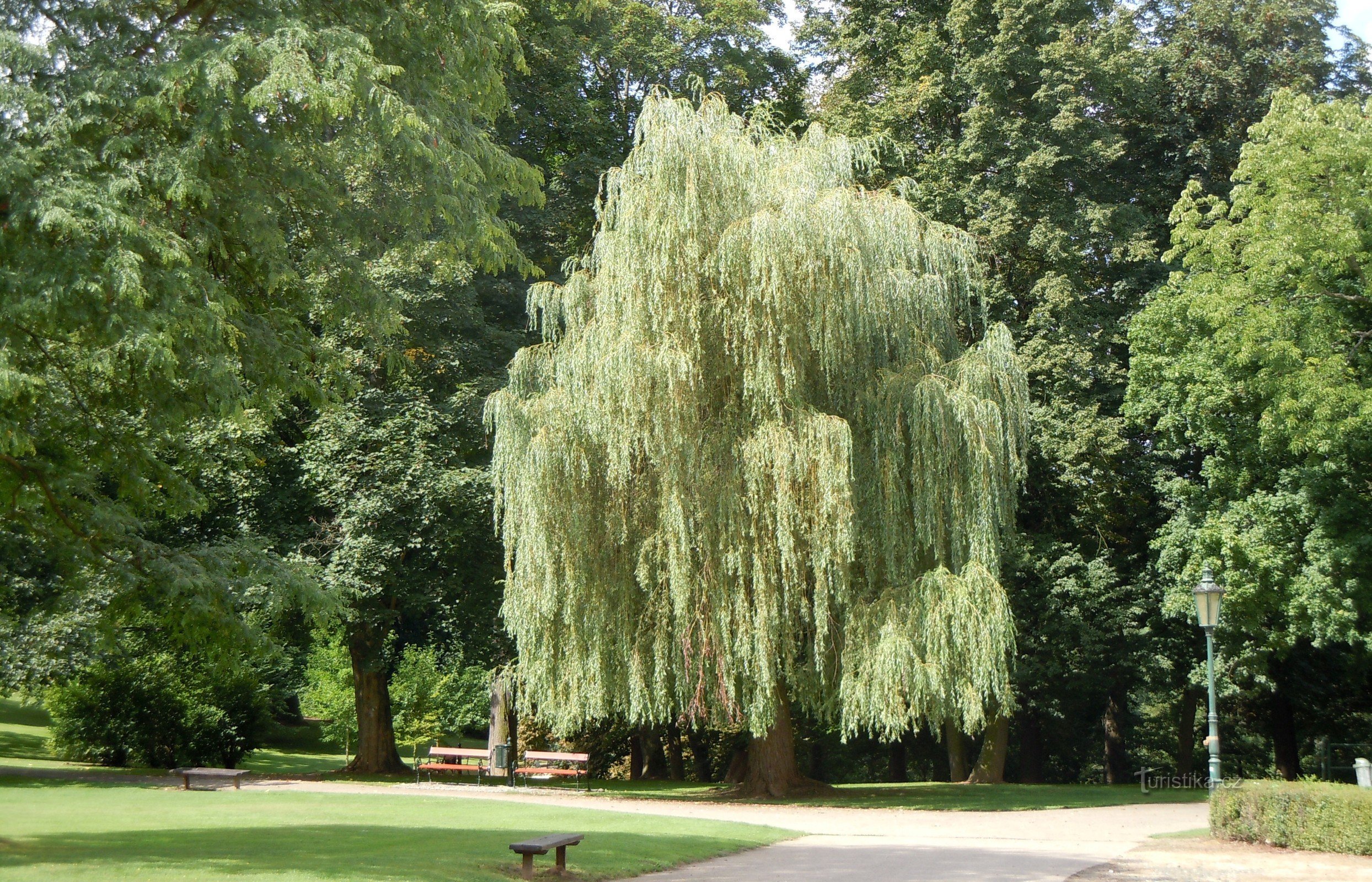 Vlašim - zámecký park