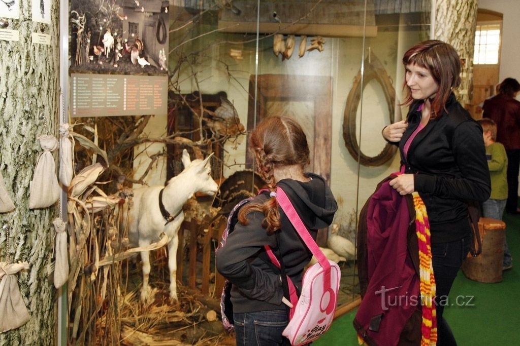 National History Museum Olomoucissa - viihdettä ja koulutusta koko perheelle!