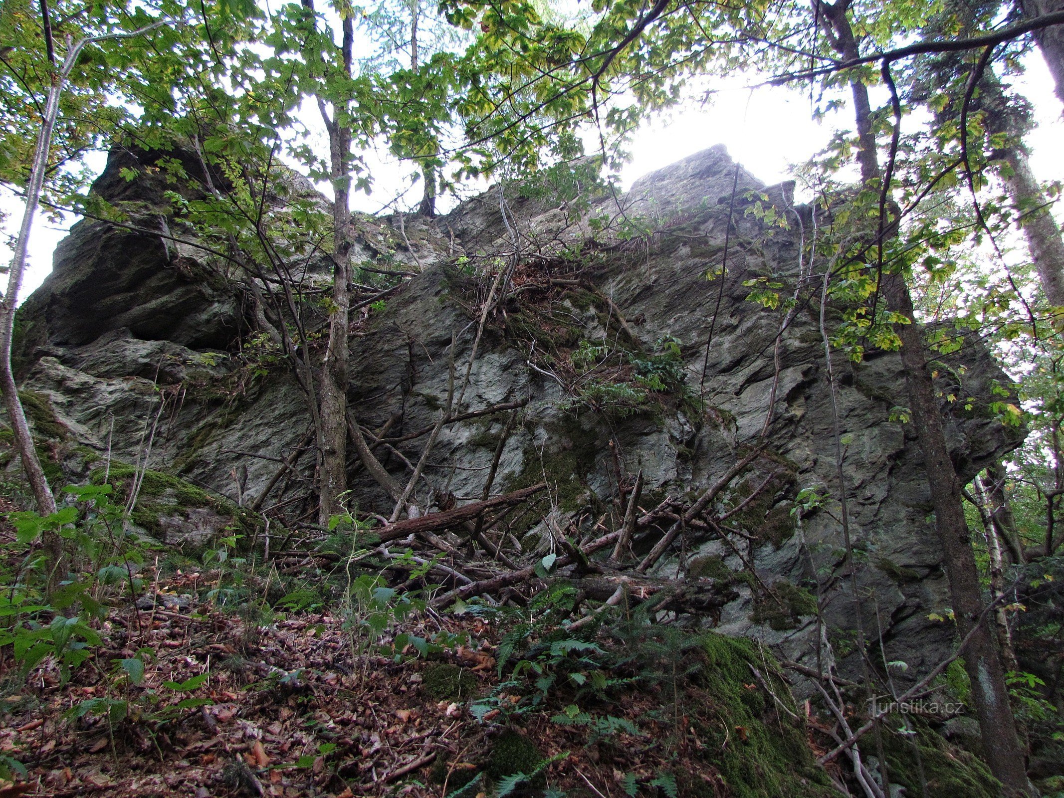 Pico del propio Mazanci