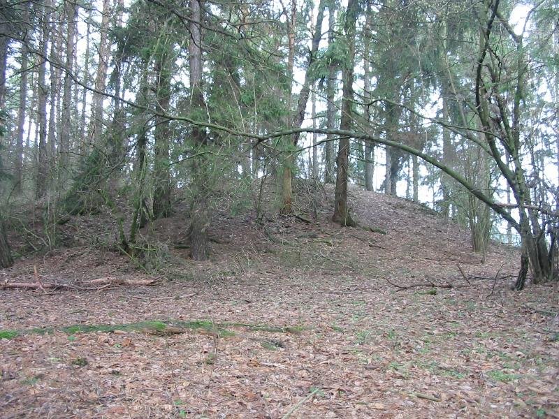 Vlčatín