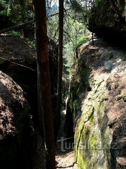 Vlčí hradek: Estrada de acesso 7.5.06