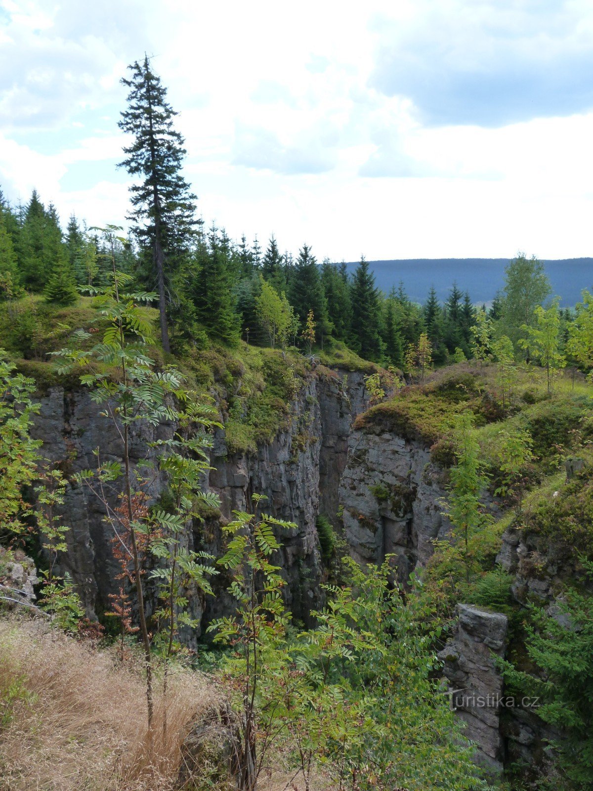 Wilcze Doły, Lodowa Jama