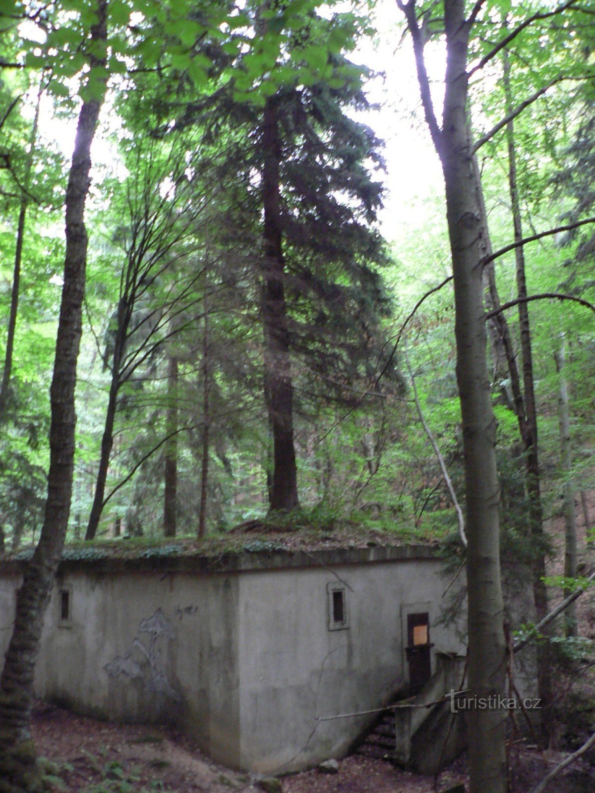 Vlčí rokle, Grybla - Forêt de Hornopožárecký